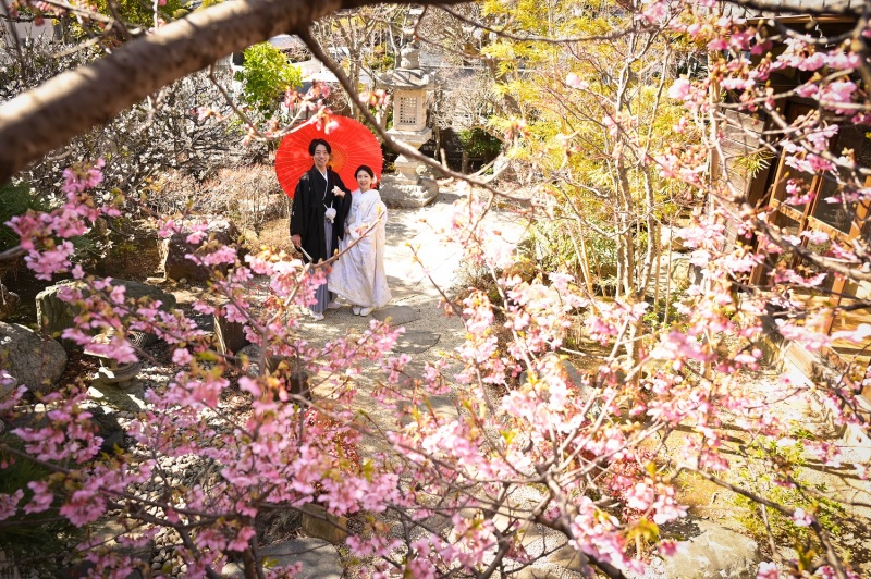 -まるで桜のトンネル…！-