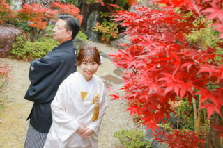 11月下旬の紅葉の様子