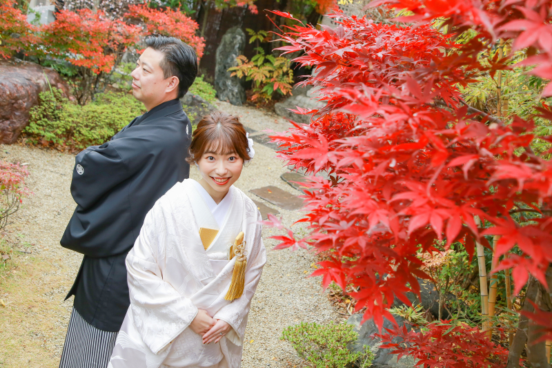 11月下旬の紅葉の様子