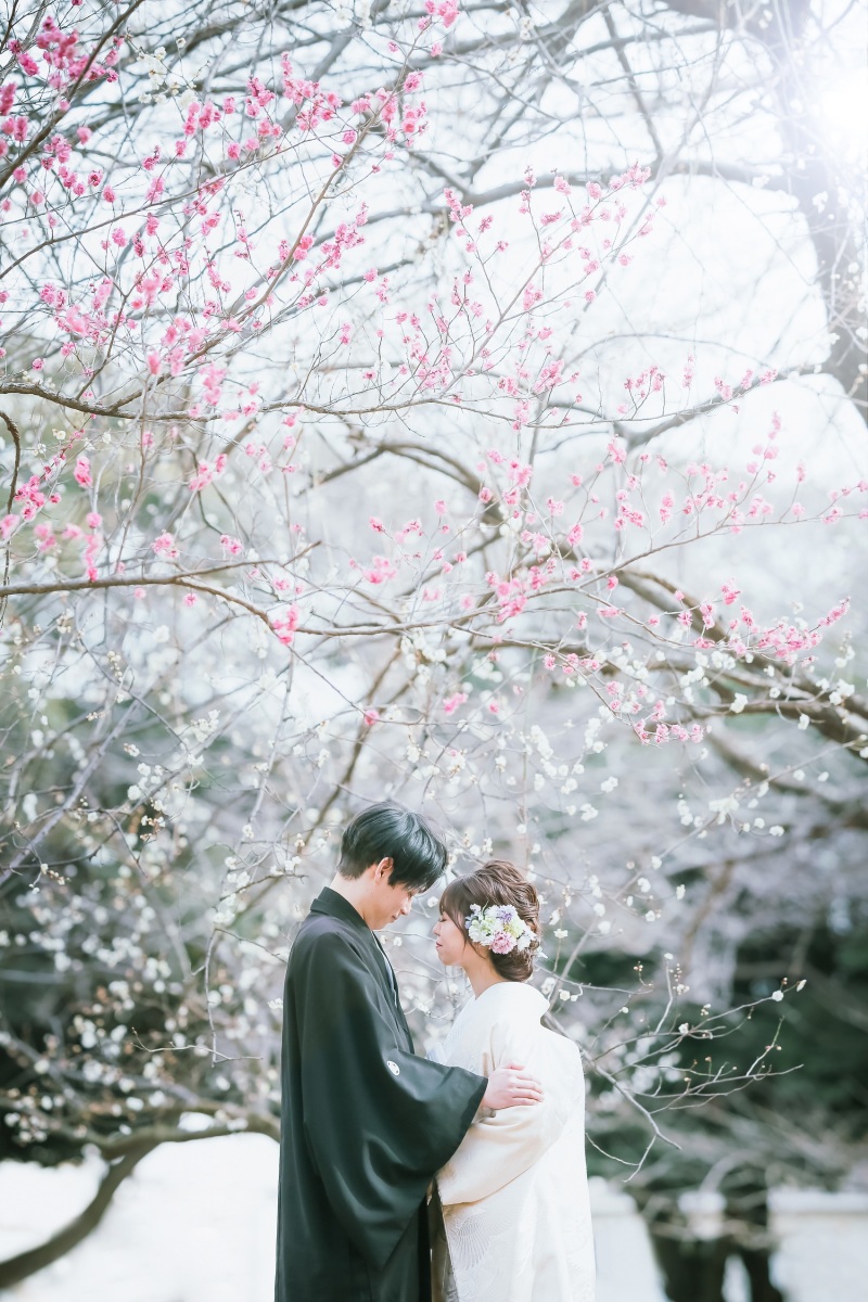 梅につつまれて・・・♪