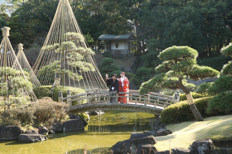 緑がたくさんあります