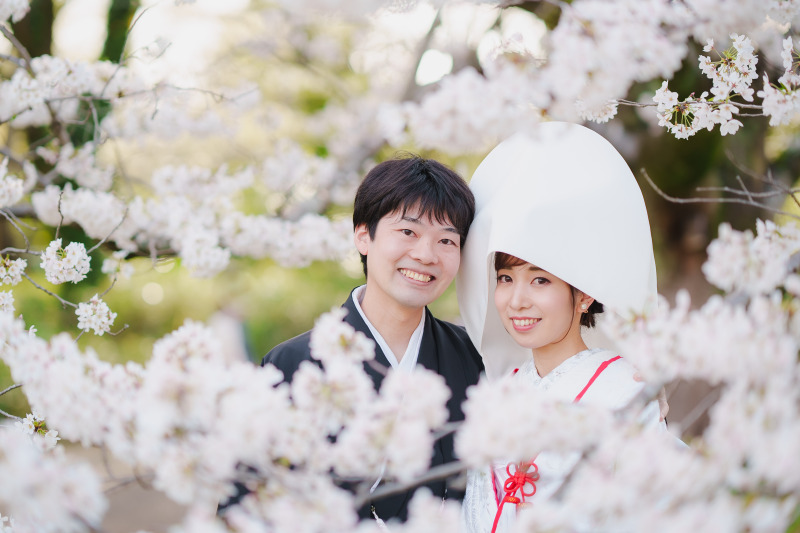 -桜に囲まれて-