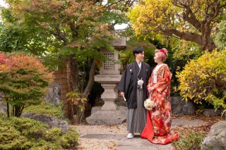 ピンクの日本髪