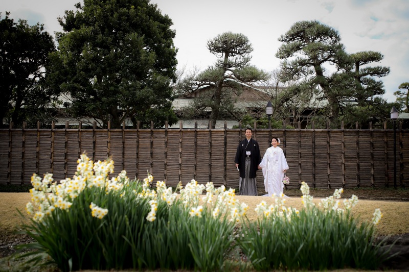 スイセンも咲いてます❀