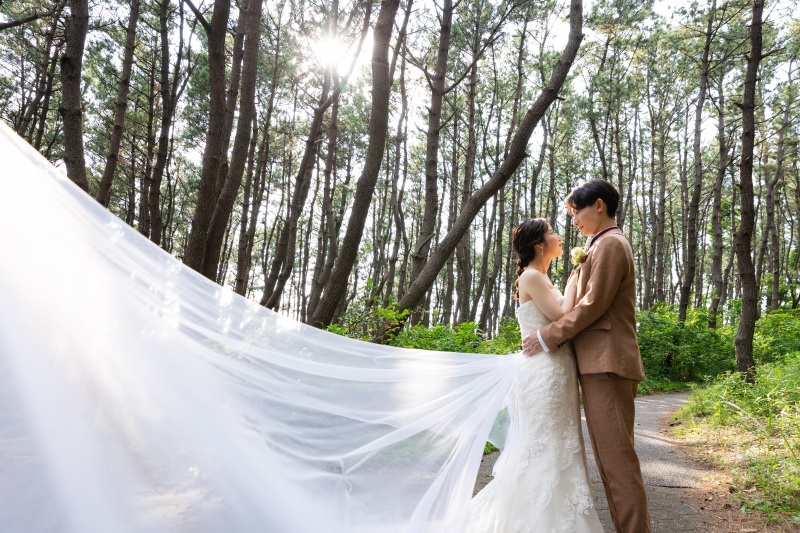 木々の隙間から