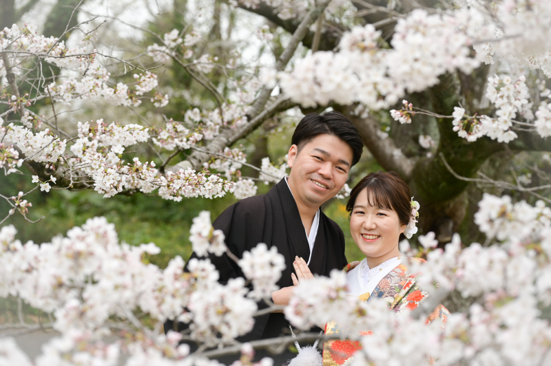 桜時期限定！撮影場所