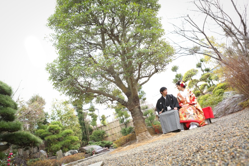 ちょこん・・・