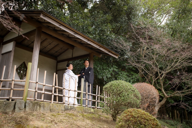 日本庭園と言えば・・・