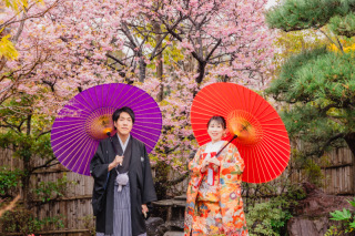 【3/5撮影】四季亭で河津桜撮影