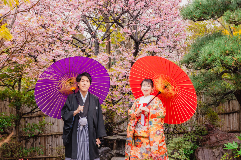 【3/5撮影】四季亭で河津桜撮影