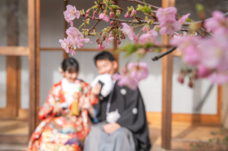 【2/20撮影】梅と河津桜の咲く四季亭での撮影❀♡