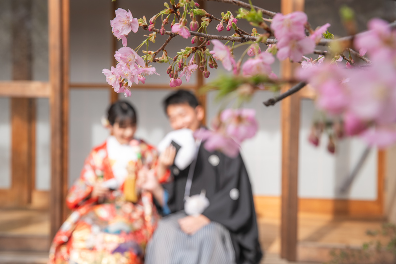 【2/20撮影】梅と河津桜の咲く四季亭での撮影❀♡