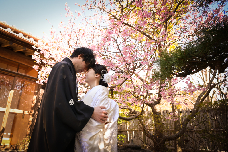 -今年も綺麗に-