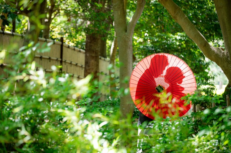 -シルエットショット-