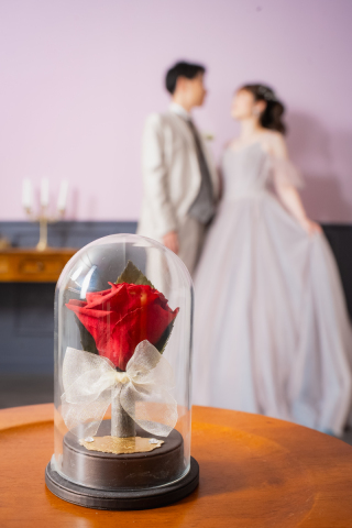 洋装スタジオプラン