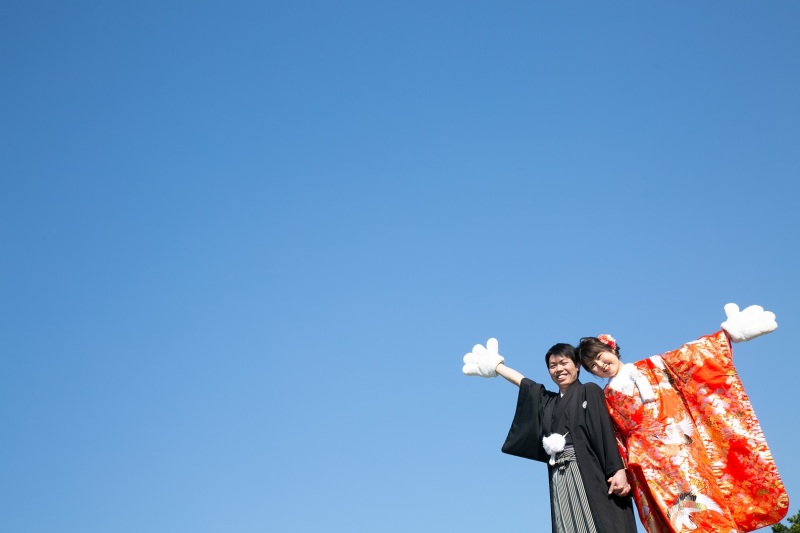 ミッキーミニーの手