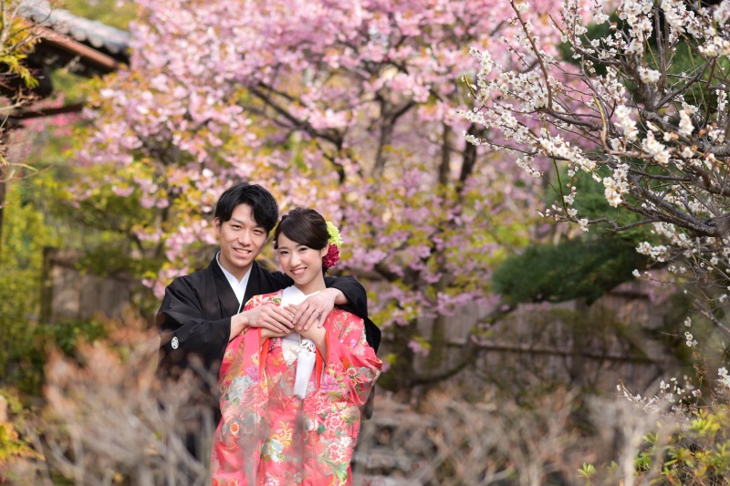 河津桜が満開❀