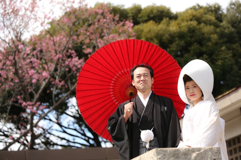 今年は桜の開花が早い！
