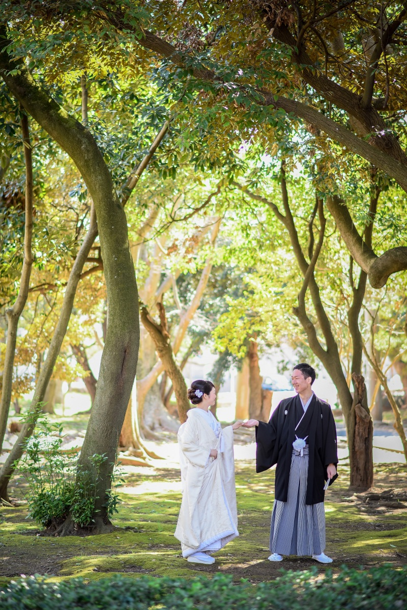 神社には緑がたくさんあります♪