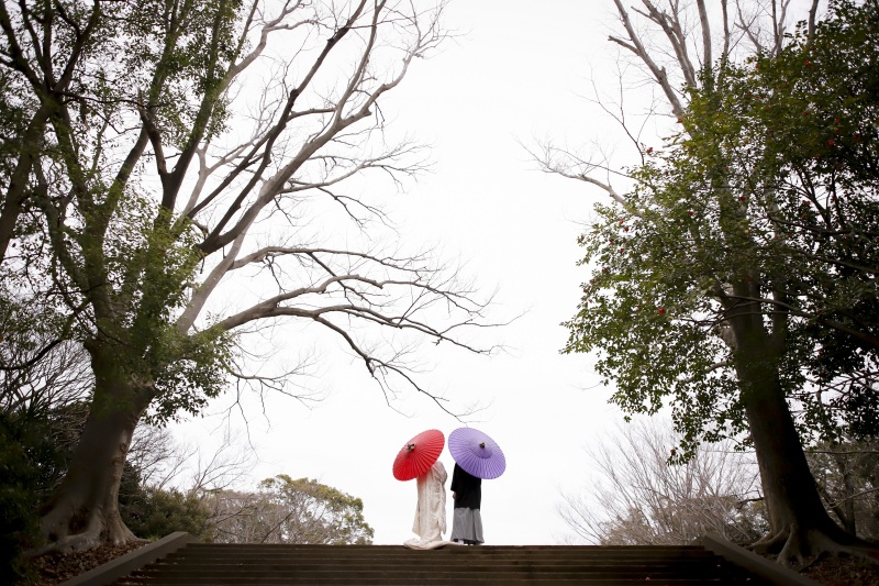 広々としています!