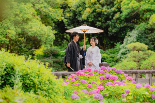 【6/9撮影】紫陽花が咲き始めました❀