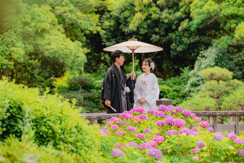 【6/9撮影】紫陽花が咲き始めました❀