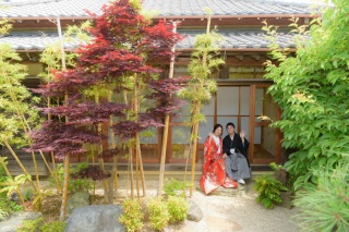 新緑の時期で緑がたくさん♪