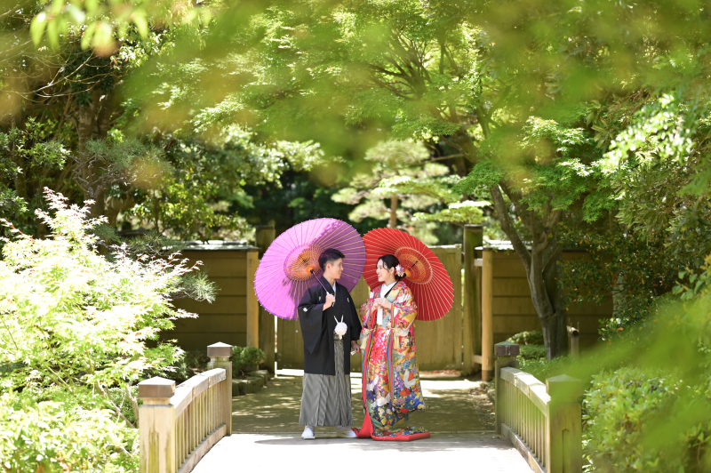 新緑が映える見浜園撮影