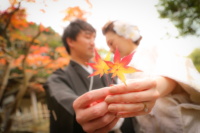 落ち葉も撮影アイテムになる！