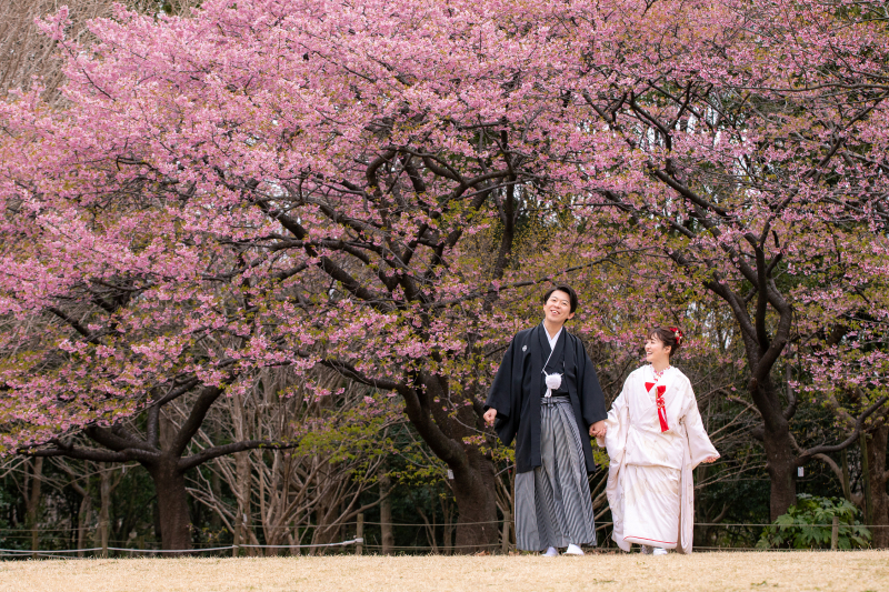 河津桜の時期♪