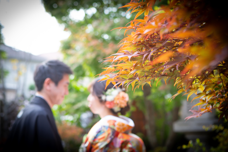 紅葉の色づき始め♪