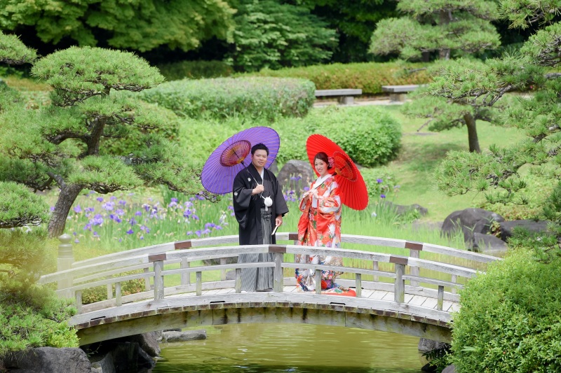 あやめバック！