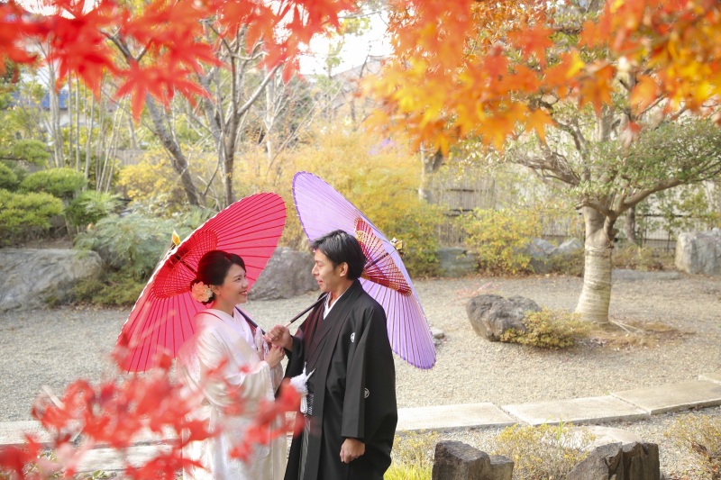 大人気の紅葉写真！