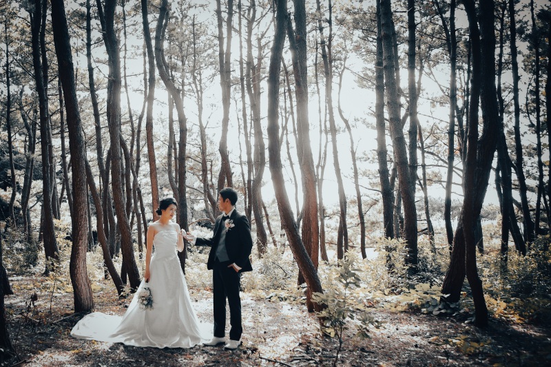 エモいお写真☆