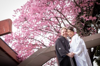 緋寒桜が満開❀