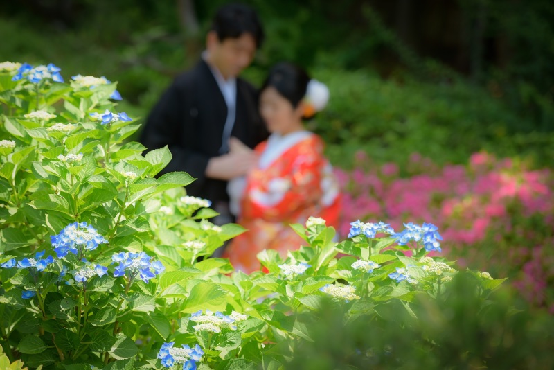 色とりどりで綺麗です