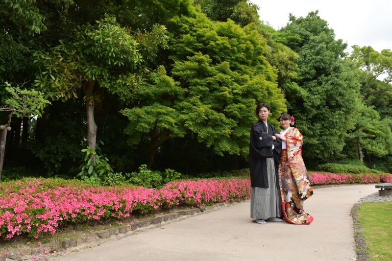 道沿いにはツツジ！