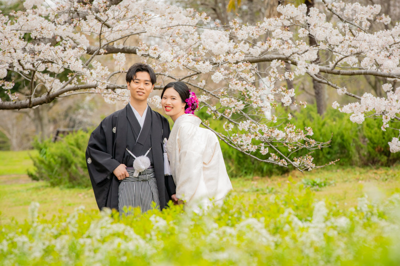 -ユキヤナギ❀-