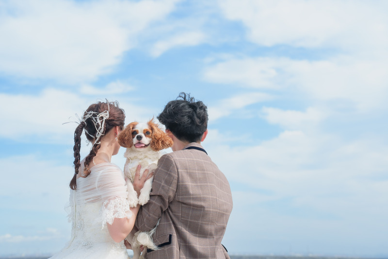 華雅苑　千葉店_動画を作れる