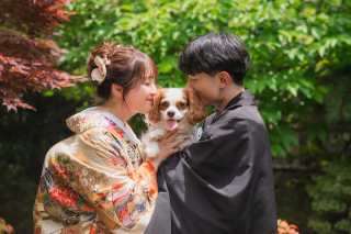 華雅苑　千葉店_オープニングムービー