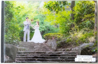 アクリルアルバムL