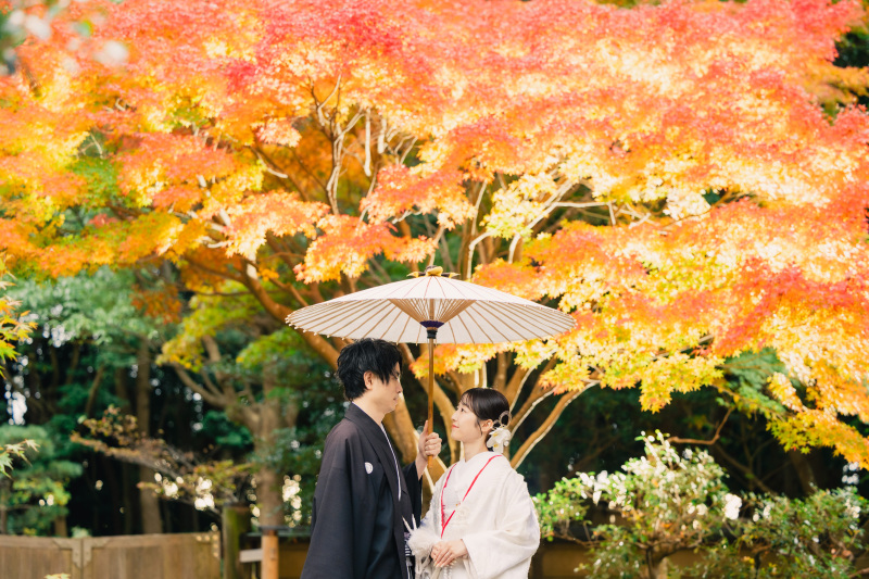 20以上ある撮影シーン