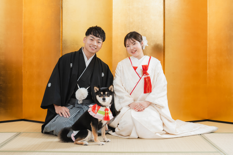 Point1 多彩な撮影シーン