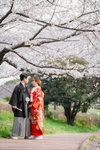 華雅苑　千葉店_桜・青葉の森（3月・4月上旬）