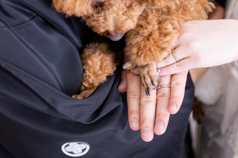 華雅苑　千葉店_ペットと一緒に撮影できる