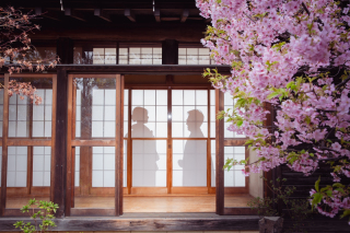 華雅苑　千葉店_四季亭・河津桜(2月下旬～3月上旬)