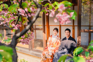 華雅苑　千葉店_四季亭・河津桜(2月下旬～3月上旬)