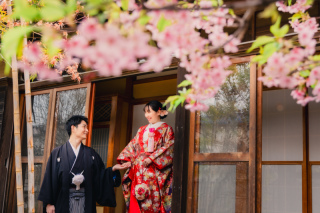 華雅苑　千葉店_四季亭・河津桜(2月下旬～3月上旬)