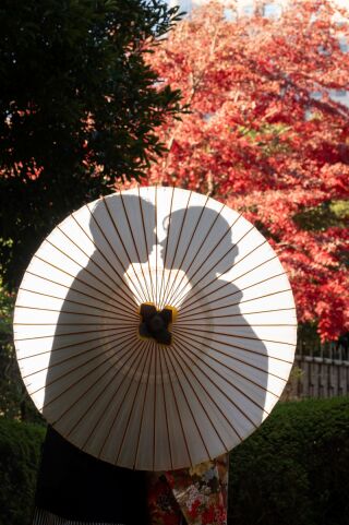 華雅苑　千葉店_紅葉（見浜園・四季亭）