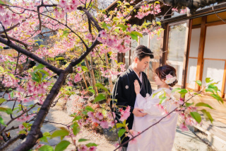 華雅苑　千葉店_四季亭・河津桜(2月下旬～3月上旬)